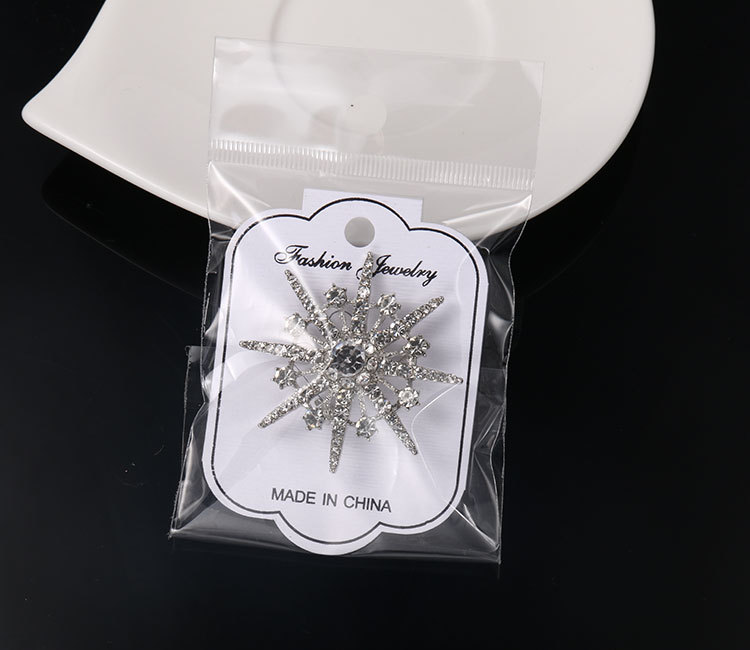 Title 38, Brooch with diamond and eight-pointed star brooch