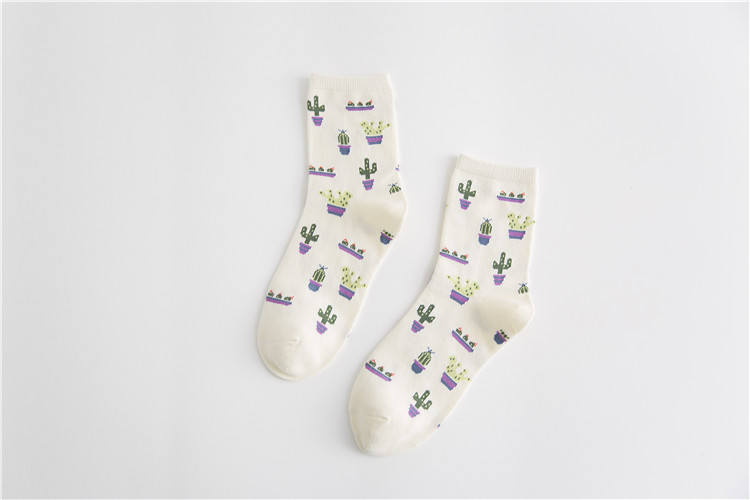 Title 4, Cactus cotton tube stockings