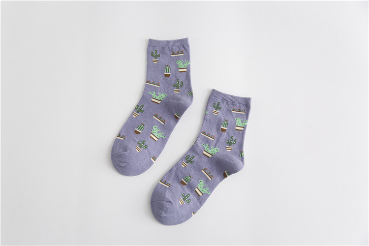 Title 6, Cactus cotton tube stockings