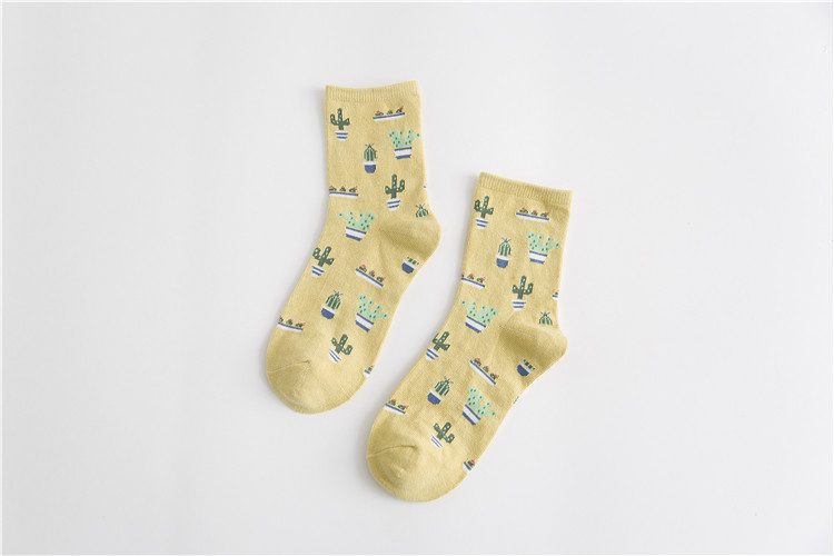 Title 7, Cactus cotton tube stockings