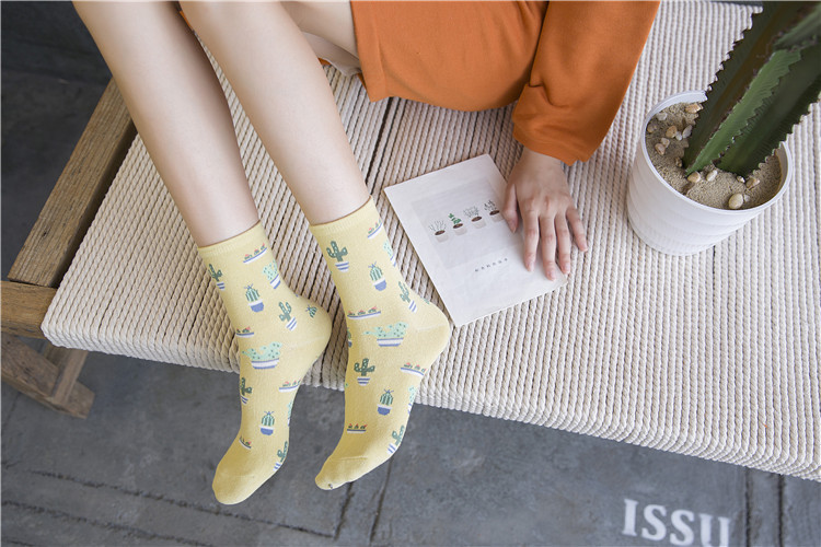 Title 8, Cactus cotton tube stockings