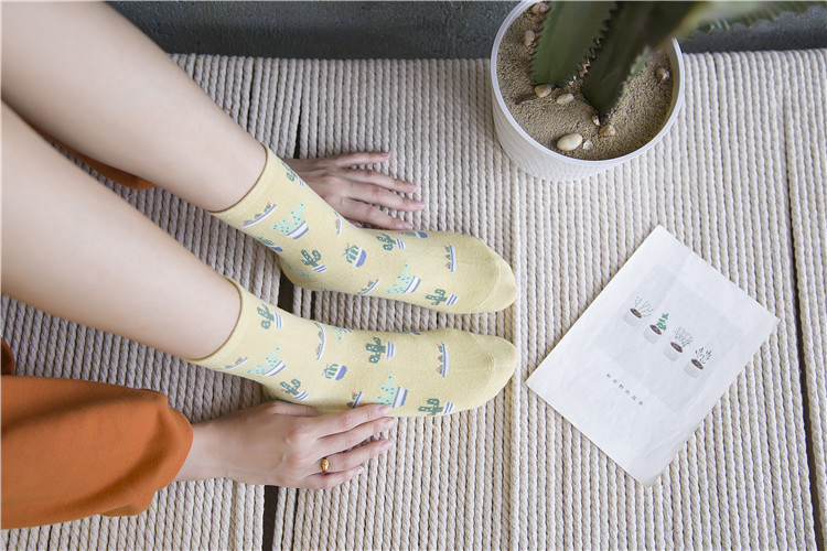 Title 10, Cactus cotton tube stockings