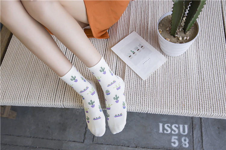 Title 14, Cactus cotton tube stockings