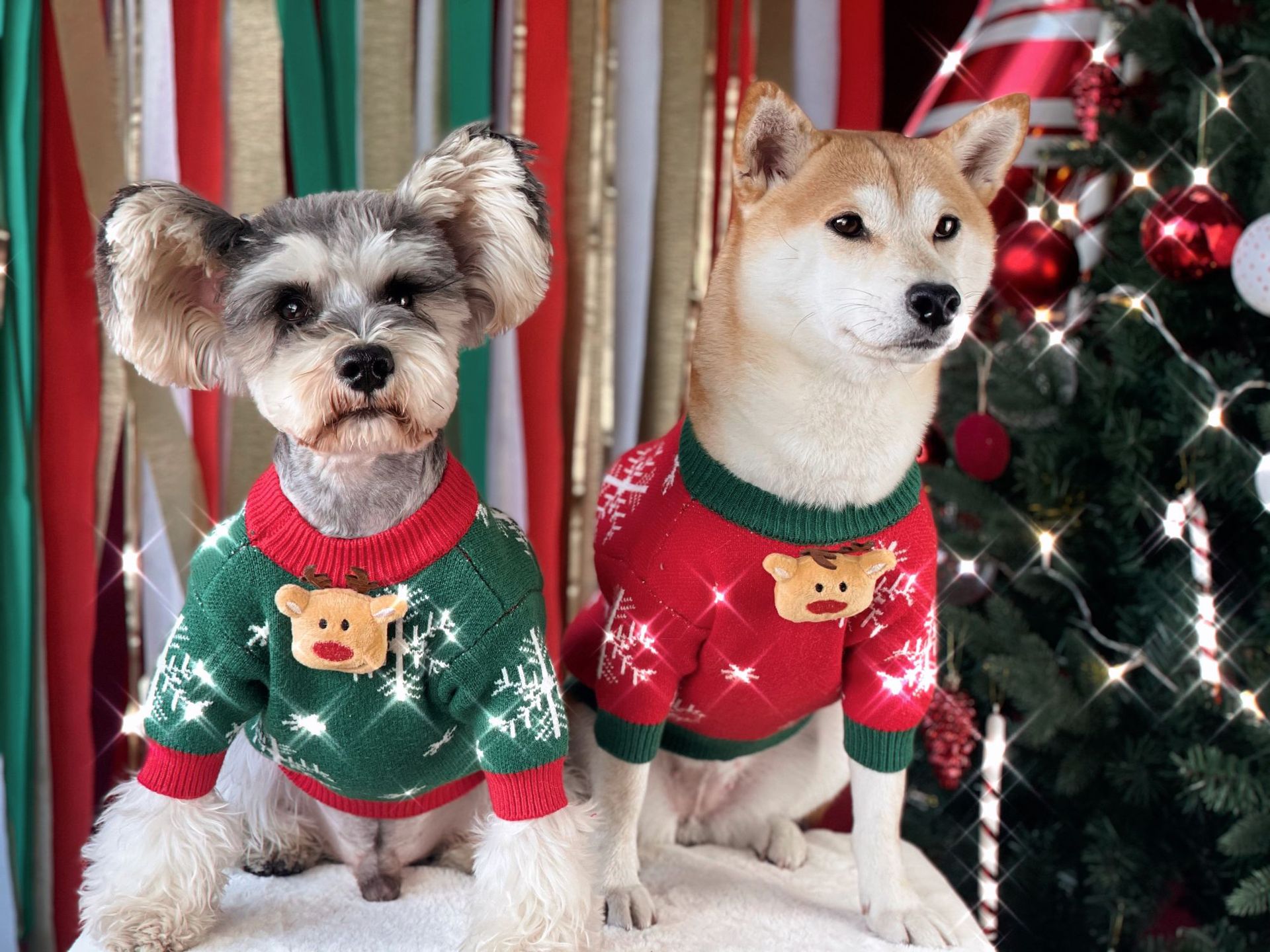 Title 1, Suéter Acolchoado de Natal para Cães Roupas Pet...