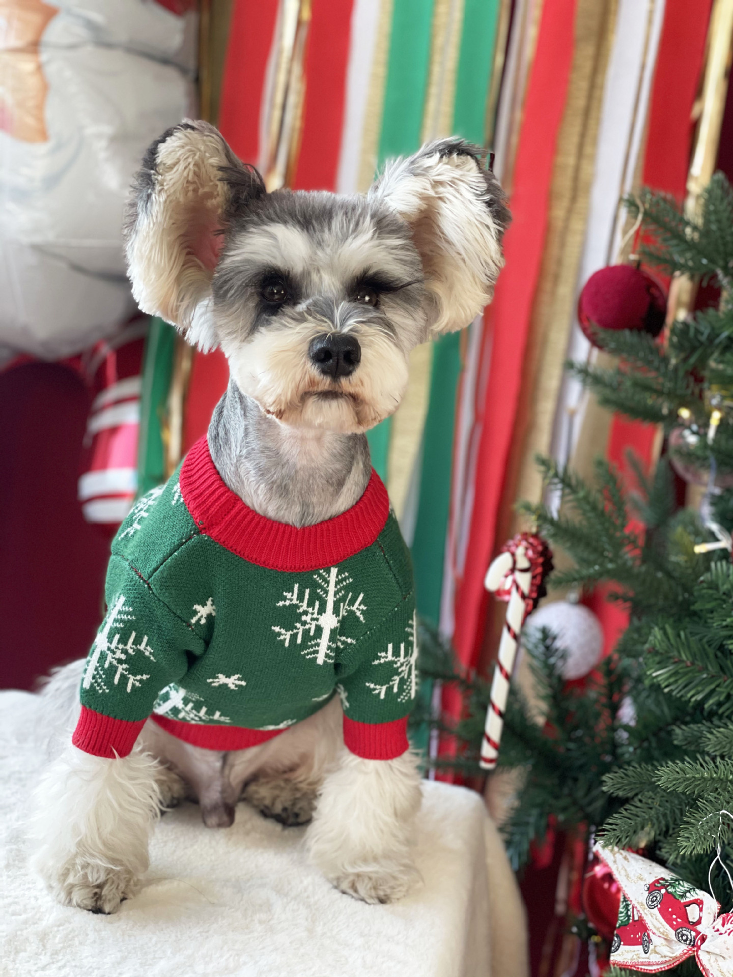 Title 3, Nouveau Pull pour Chien Rembourré de Noël Vêtem...