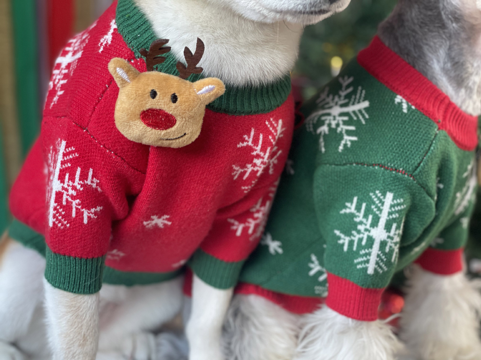 Title 6, Nouveau Pull pour Chien Rembourré de Noël Vêtem...