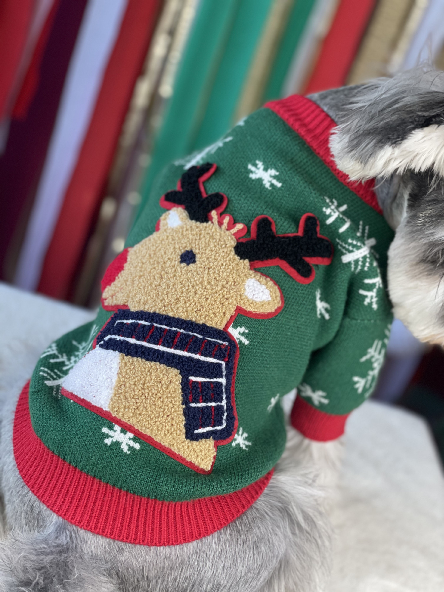 Title 9, Nouveau Pull pour Chien Rembourré de Noël Vêtem...