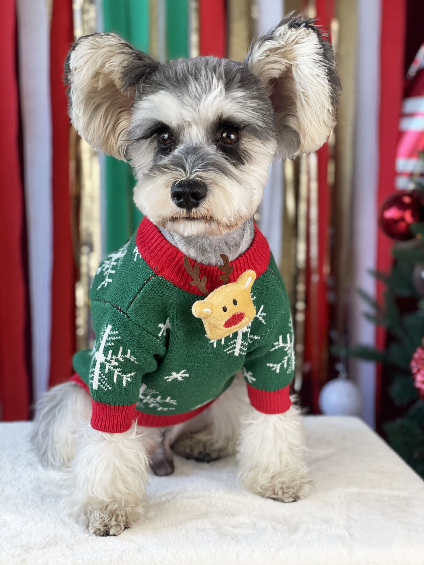 Title 10, Nouveau Pull pour Chien Rembourré de Noël Vêtem...