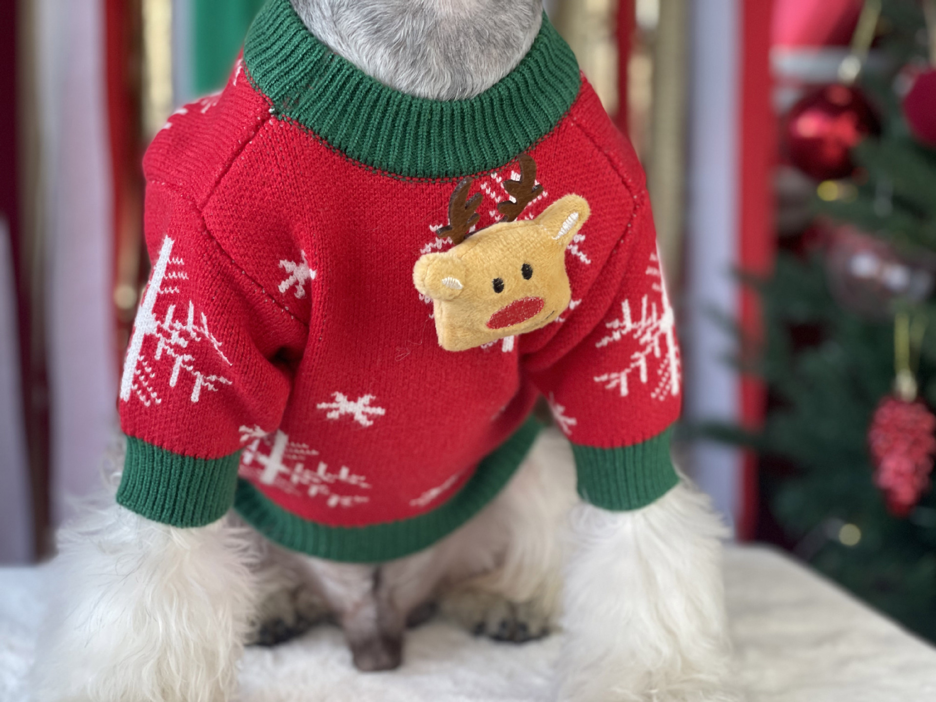 Title 12, Suéter Acolchoado de Natal para Cães Roupas Pet...