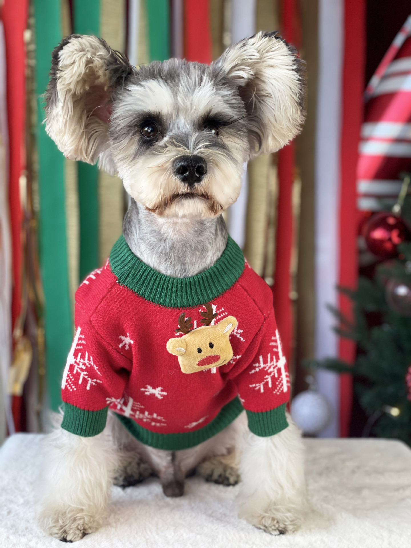 Title 14, Nouveau Pull pour Chien Rembourré de Noël Vêtem...