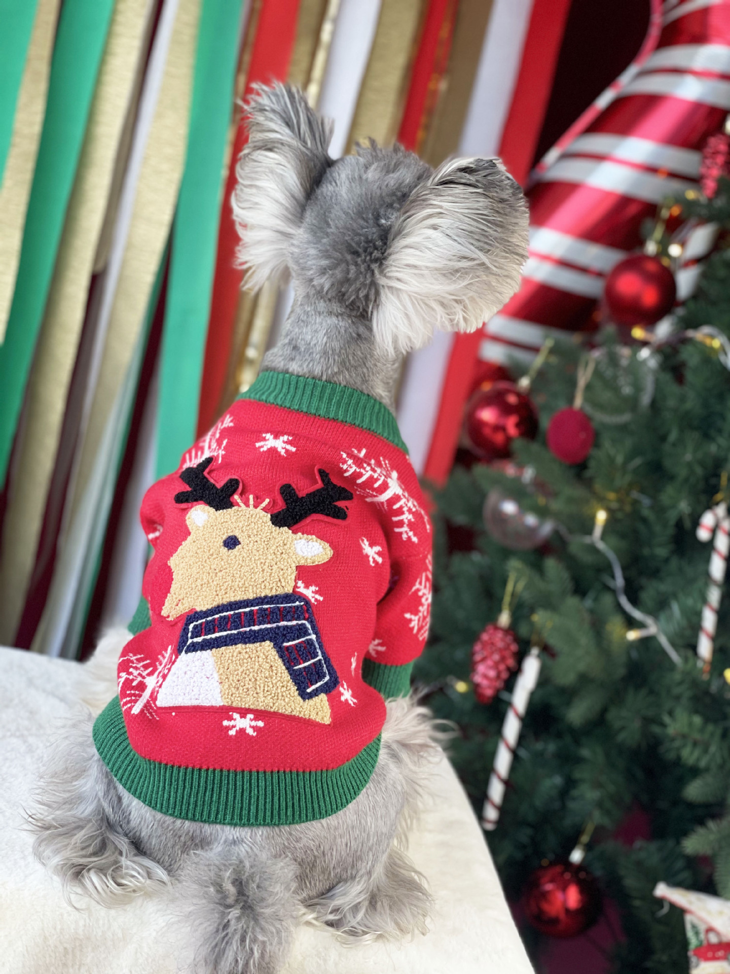 Title 15, Neue Weihnachts Hundepullover Gepolstert Warme ...