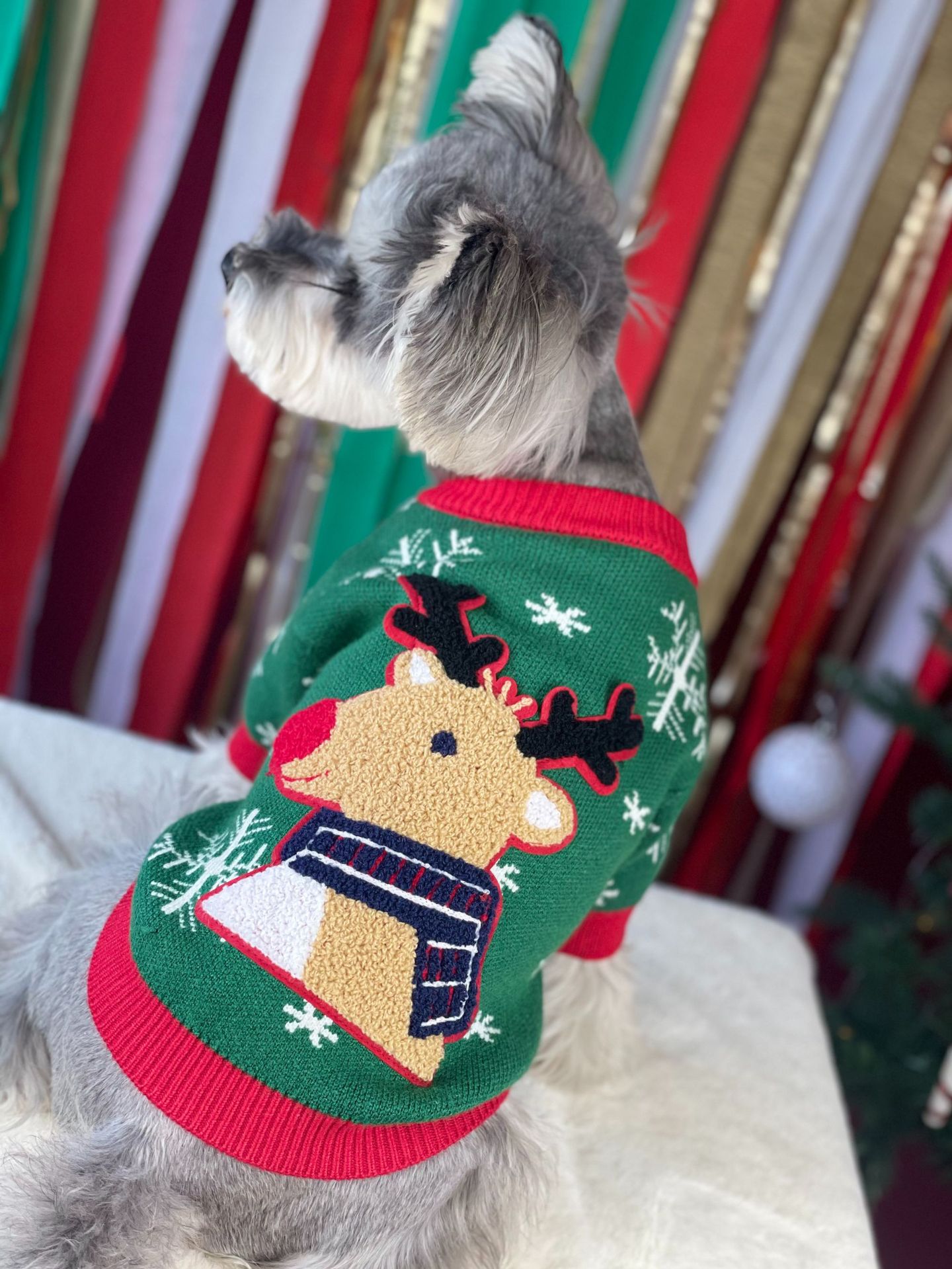 Title 17, Nouveau Pull pour Chien Rembourré de Noël Vêtem...