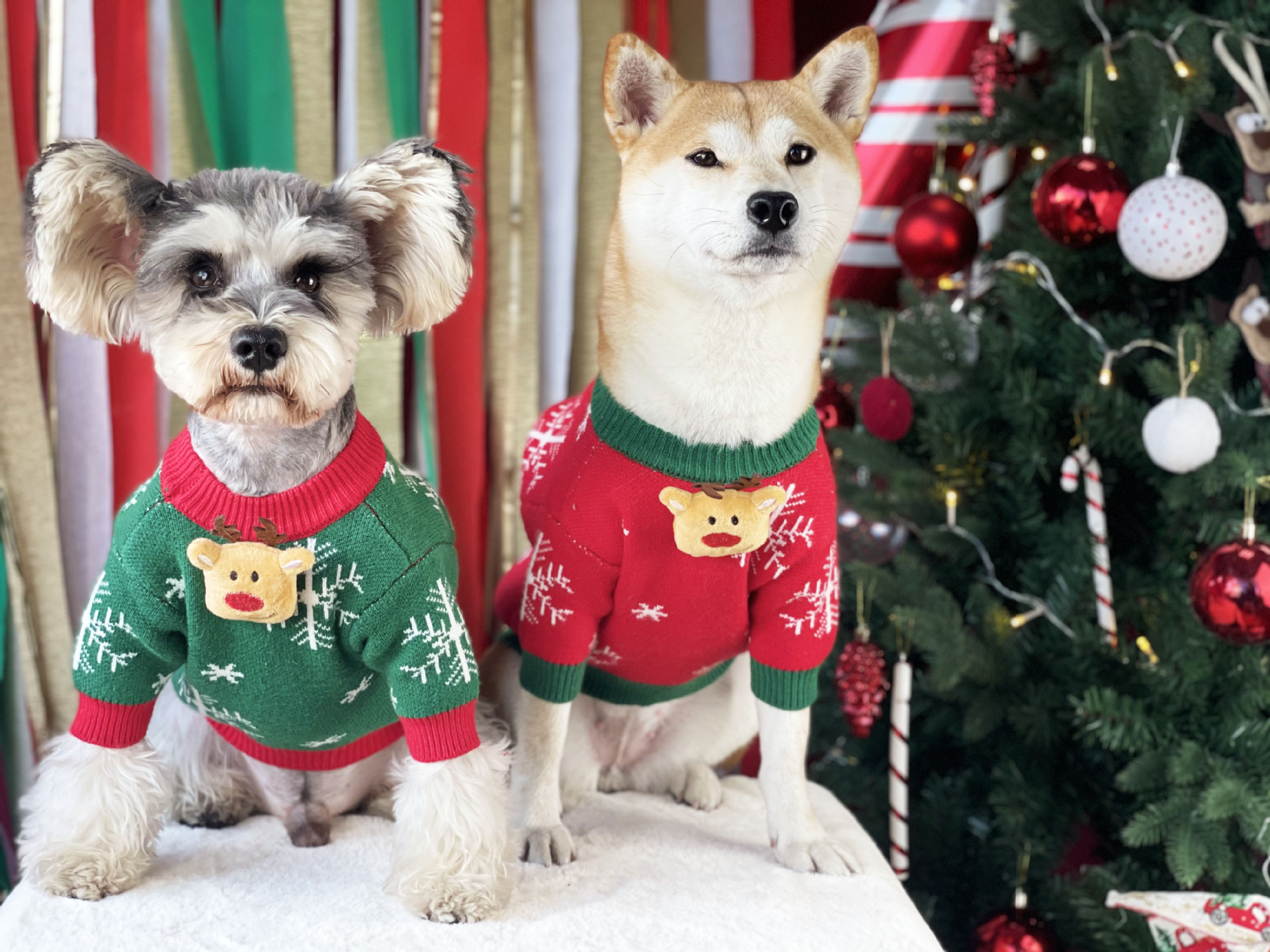 Title 18, Suéter Acolchoado de Natal para Cães Roupas Pet...