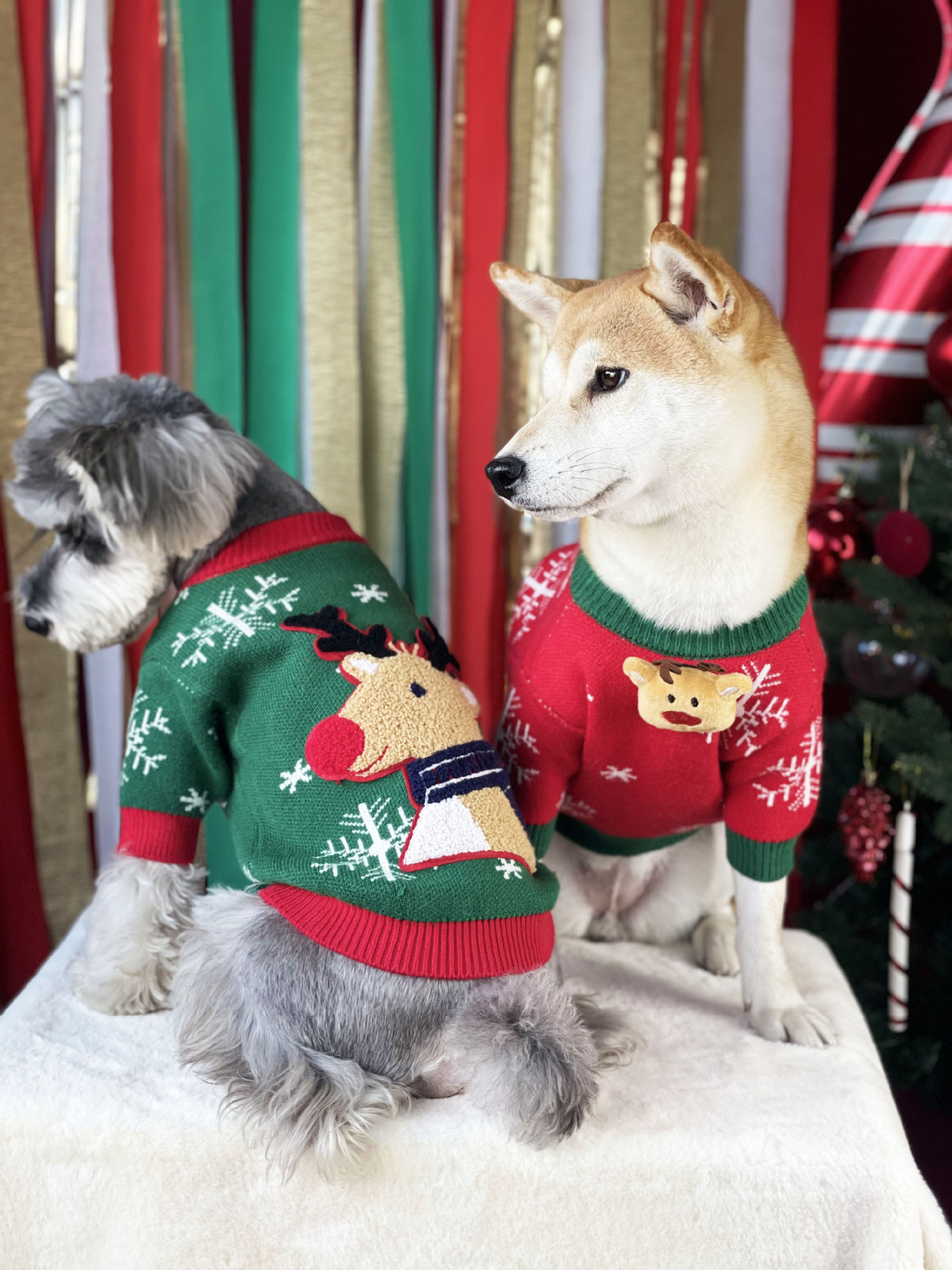 Title 19, Suéter Acolchoado de Natal para Cães Roupas Pet...