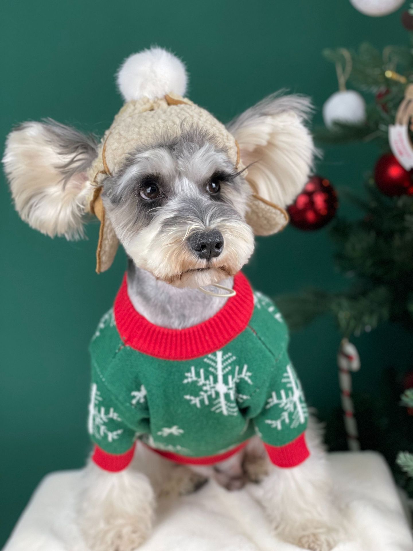 Title 24, Suéter Acolchoado de Natal para Cães Roupas Pet...