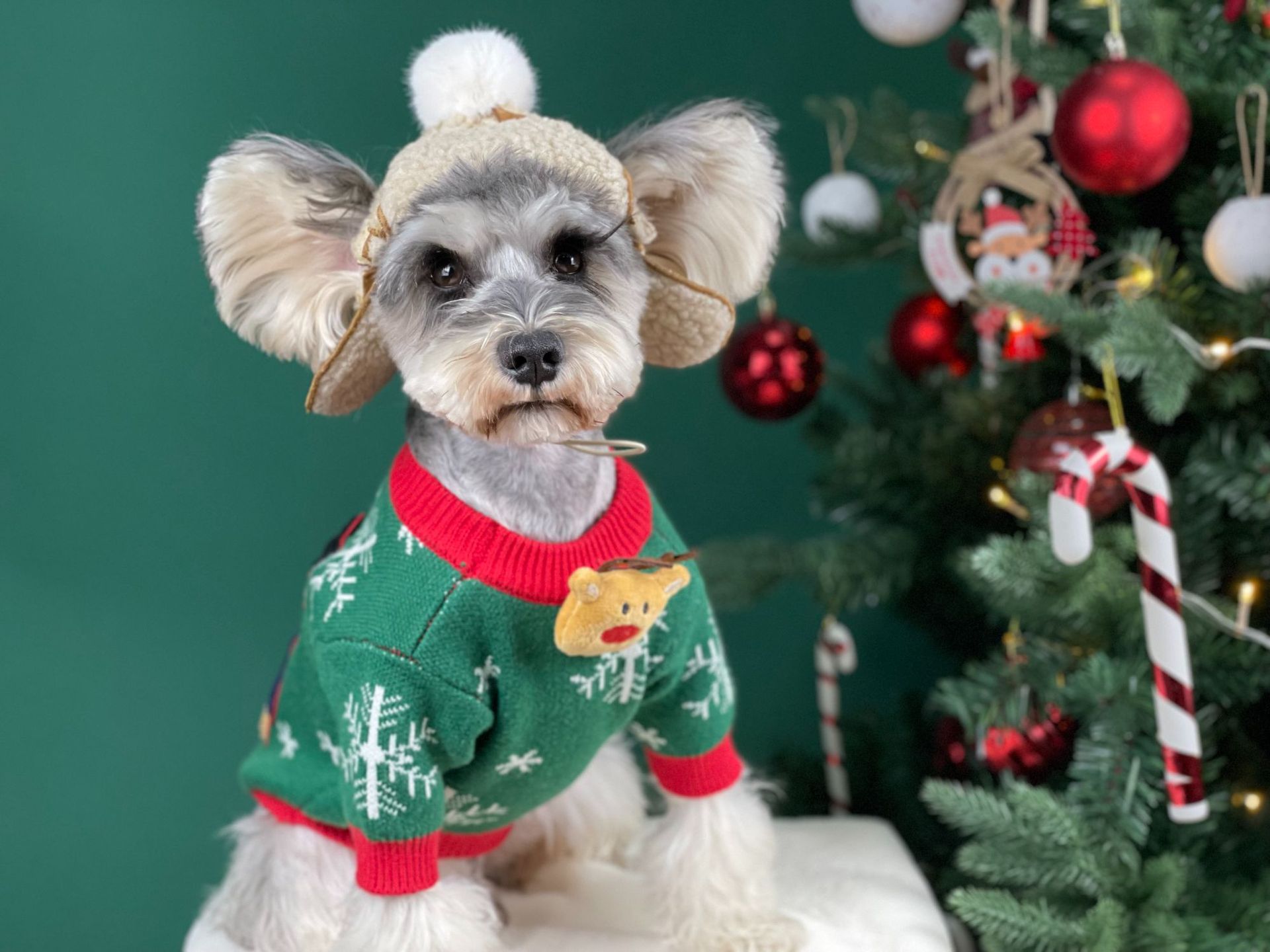 Title 25, Nouveau Pull pour Chien Rembourré de Noël Vêtem...