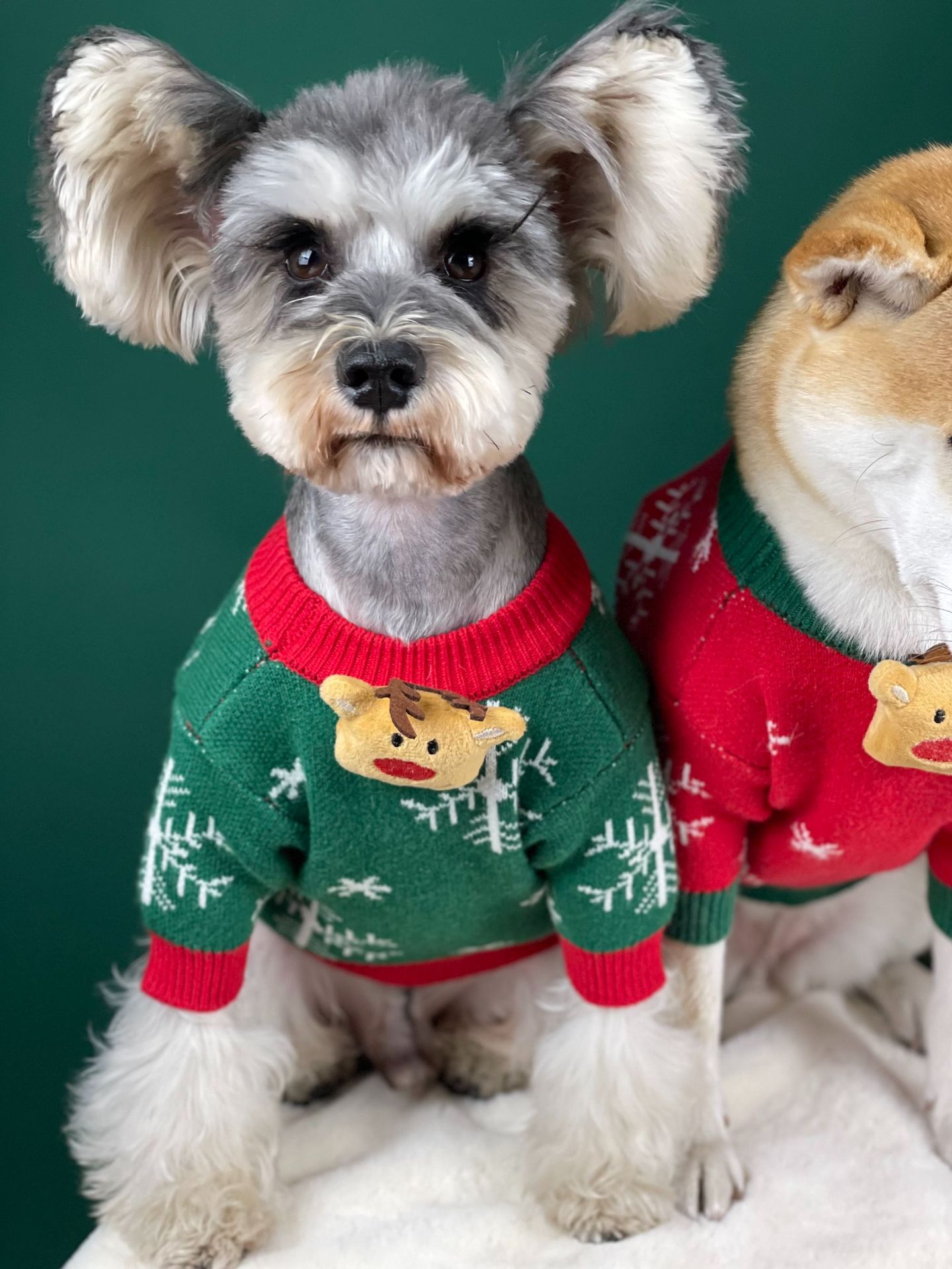 Title 27, Neue Weihnachts Hundepullover Gepolstert Warme ...