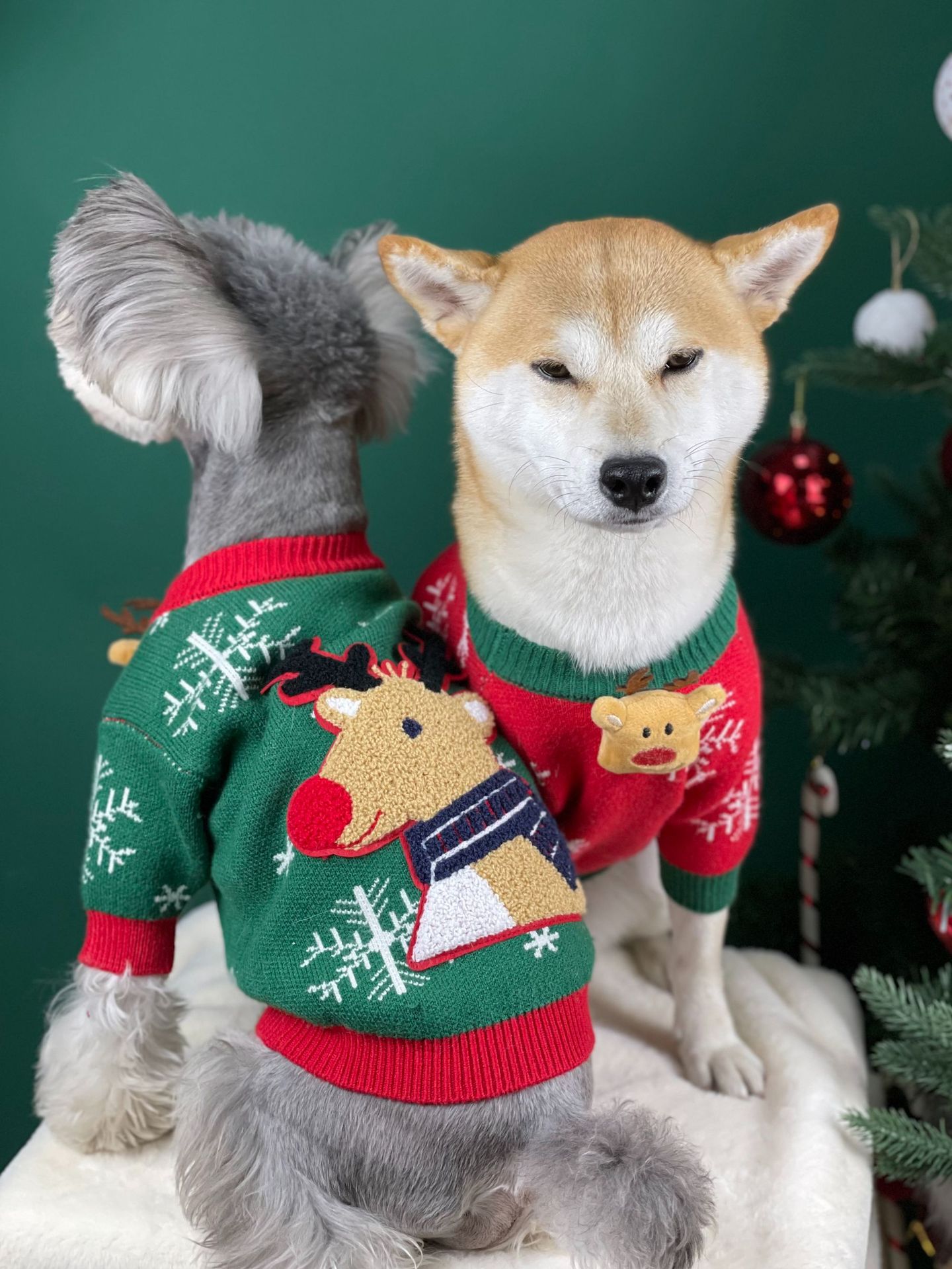 Title 28, Nouveau Pull pour Chien Rembourré de Noël Vêtem...