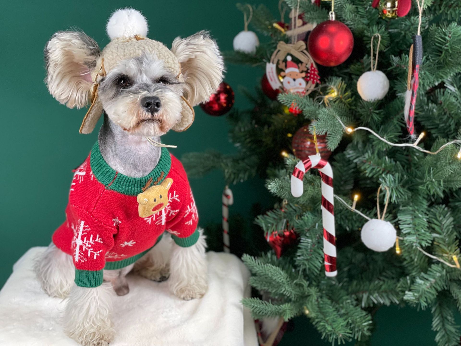 Title 29, Nouveau Pull pour Chien Rembourré de Noël Vêtem...