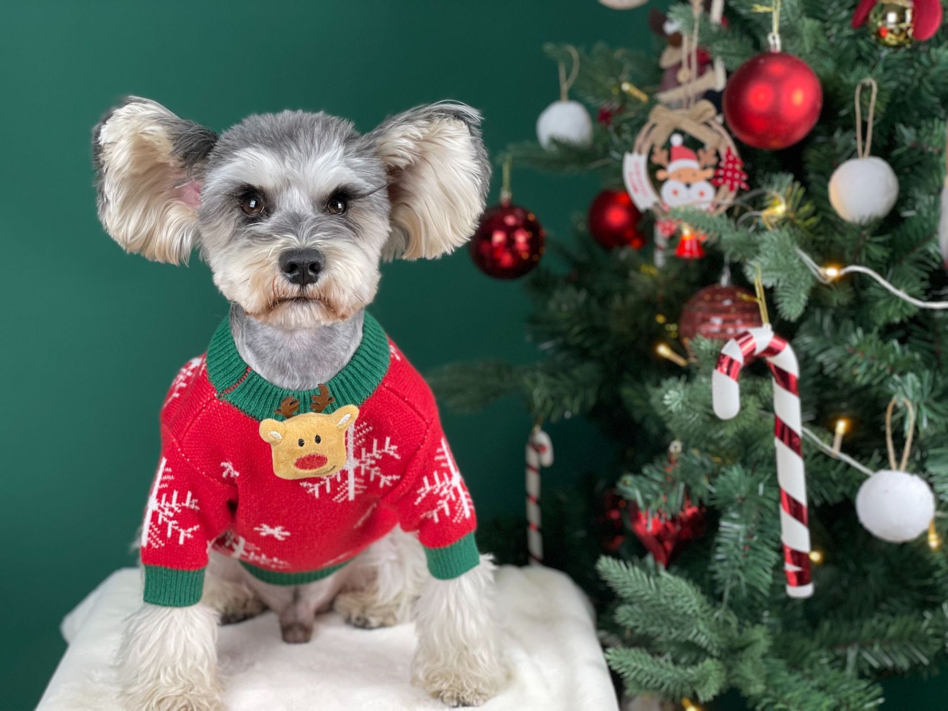 Title 30, Nouveau Pull pour Chien Rembourré de Noël Vêtem...