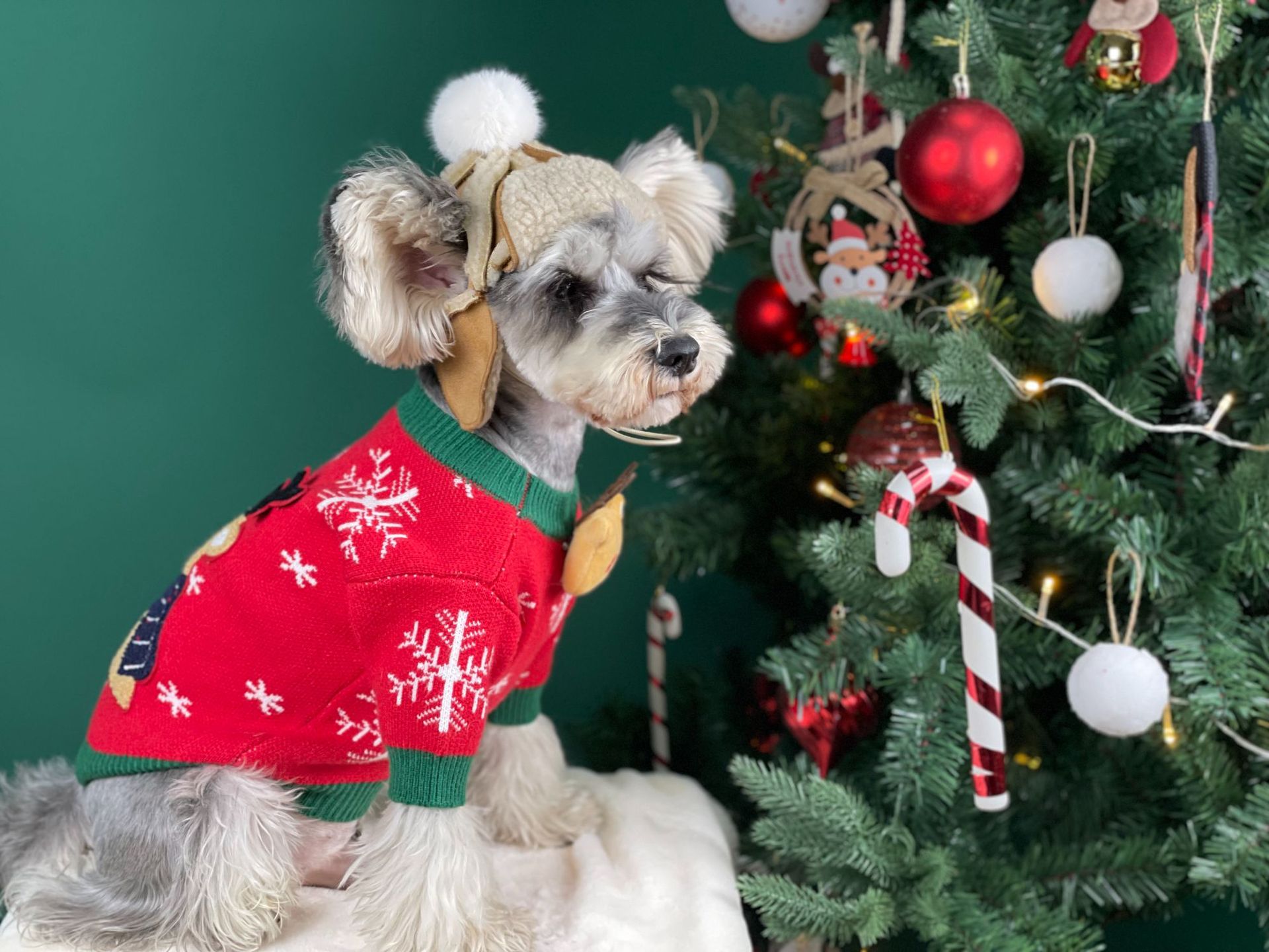 Title 32, Nouveau Pull pour Chien Rembourré de Noël Vêtem...