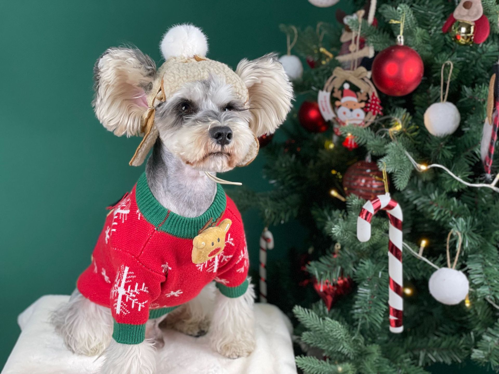 Title 33, Nouveau Pull pour Chien Rembourré de Noël Vêtem...