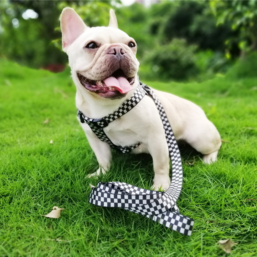 Title 1, Plaid dog harness with chest and back fasteners...