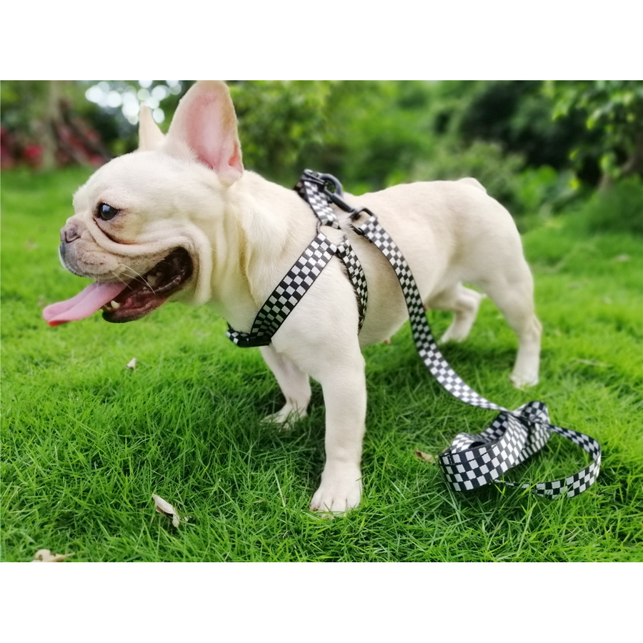 Title 2, Plaid dog harness with chest and back fasteners...