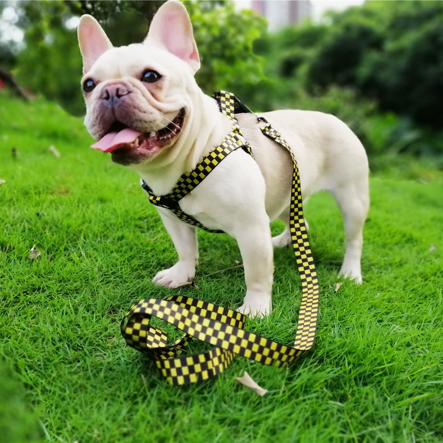 Title 4, Plaid dog harness with chest and back fasteners...