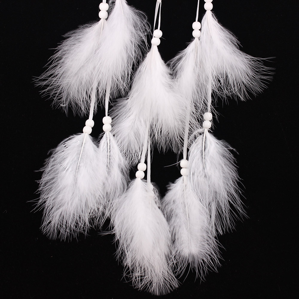 Title 4, Feather dream catcher