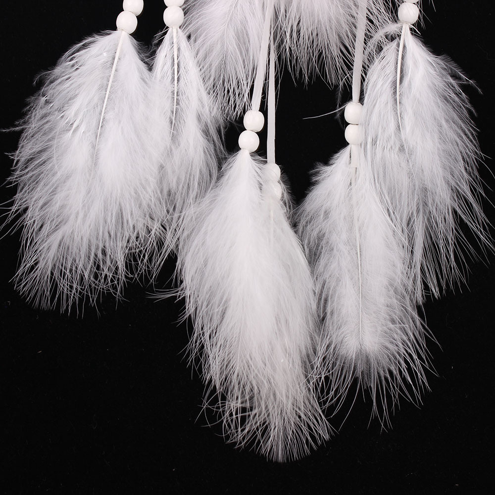 Title 5, Feather dream catcher