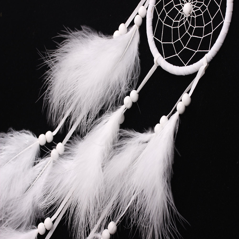 Title 6, Feather dream catcher