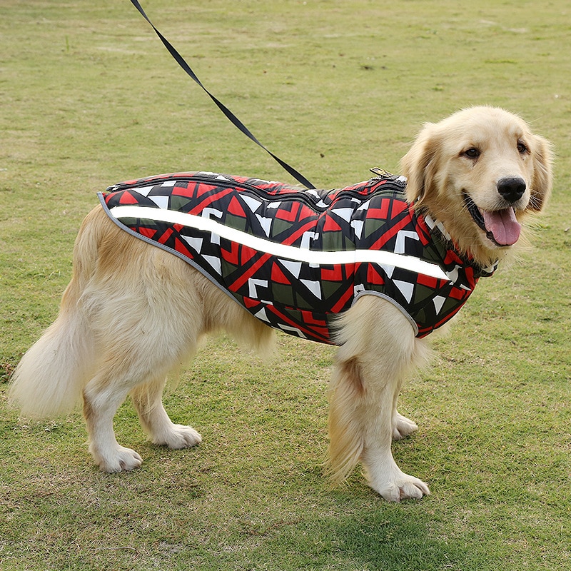 Title 2, Jaqueta para cachorro em tela respirável, leve ...