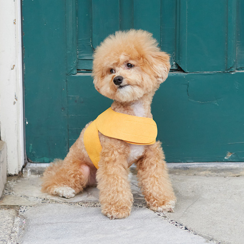 Title 1, Correa para perro INS con diseño de tejido de a...