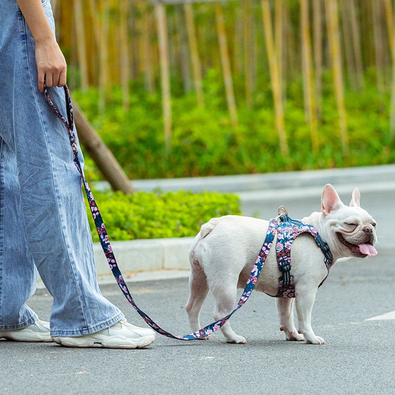 Title 12, Corde et Chaîne pour Chiens Robustes Jouet à Ti...