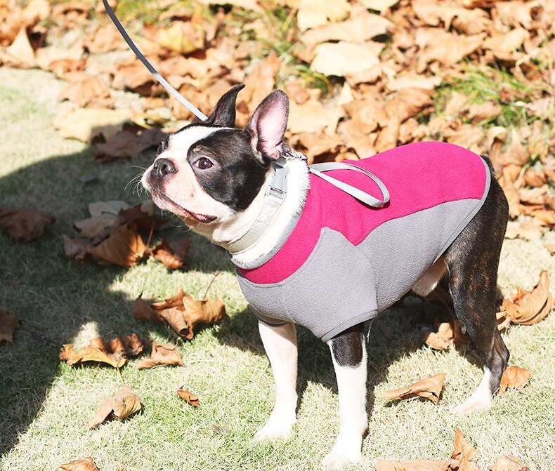 Title 10, Nova Roupa para Cães Grandes Estilo Casual Jaqu...