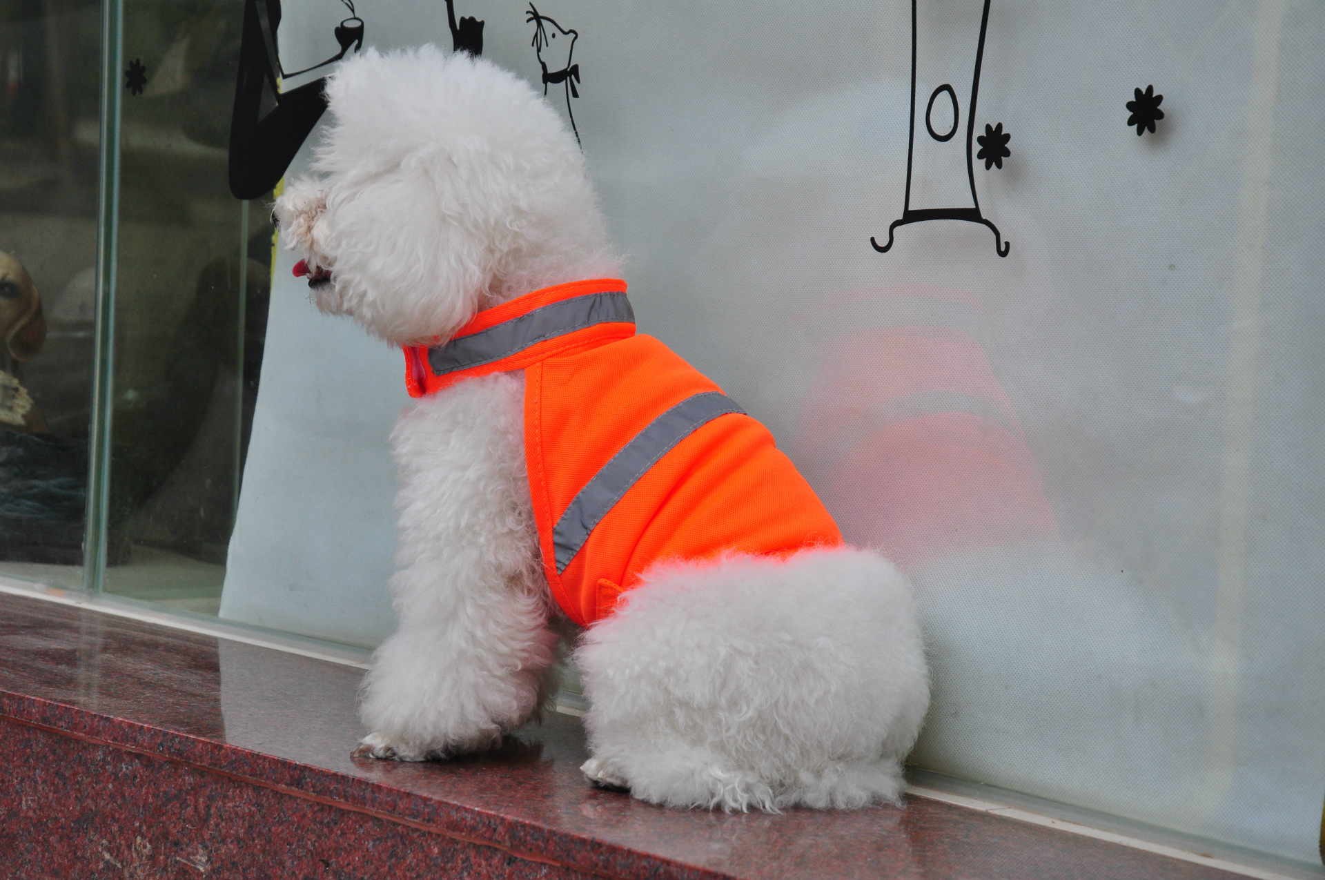 Title 2, Roupa de Verão Refletiva para Cães Roupa de Seg...