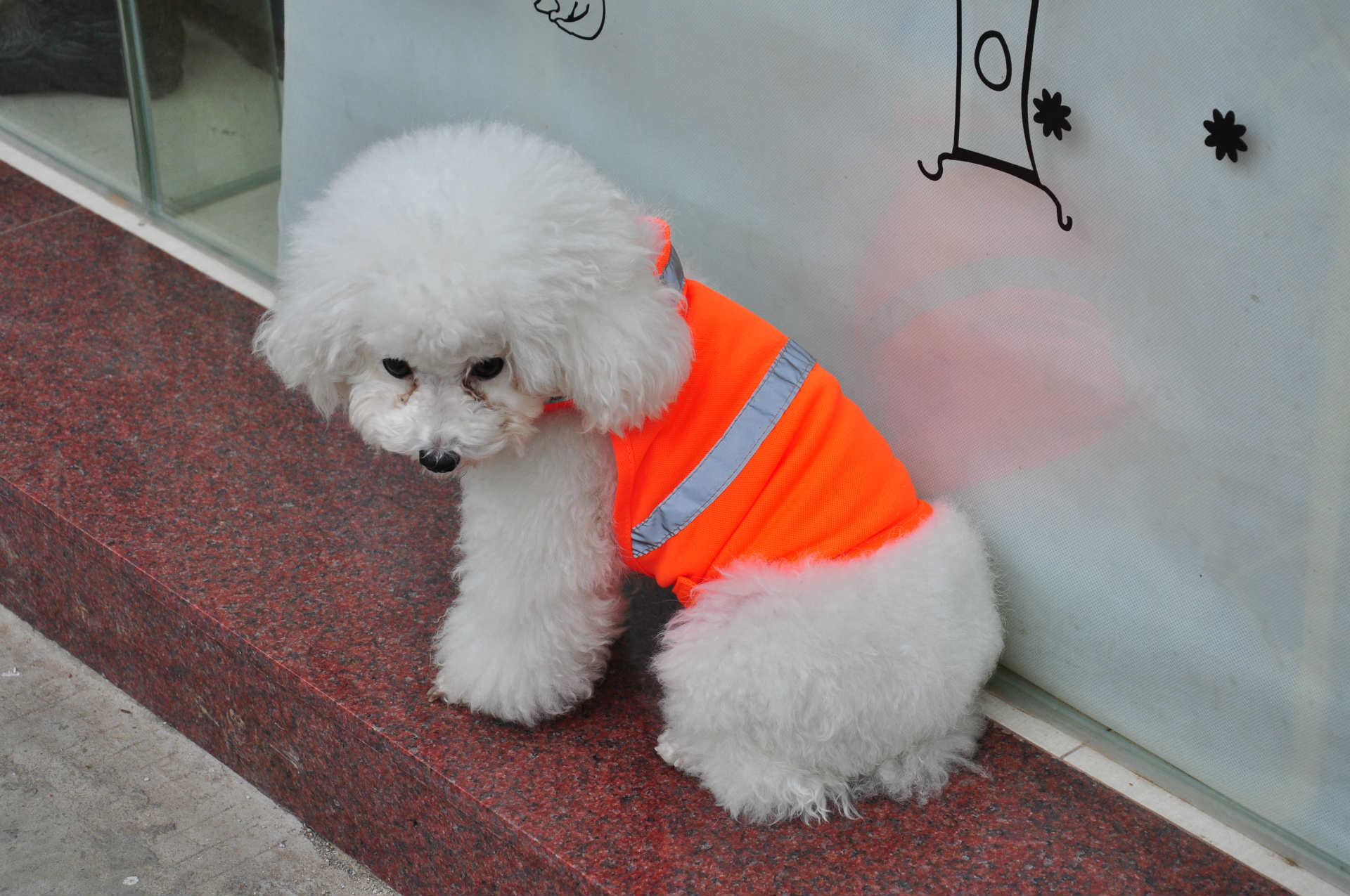 Title 3, Summer Pet Clothing Dog Reflective Clothing Wor...