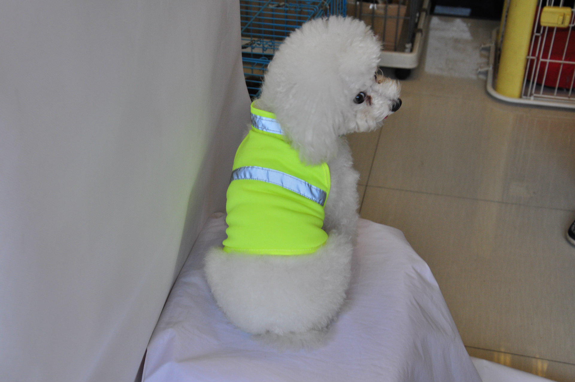 Title 4, Summer Pet Clothing Dog Reflective Clothing Wor...