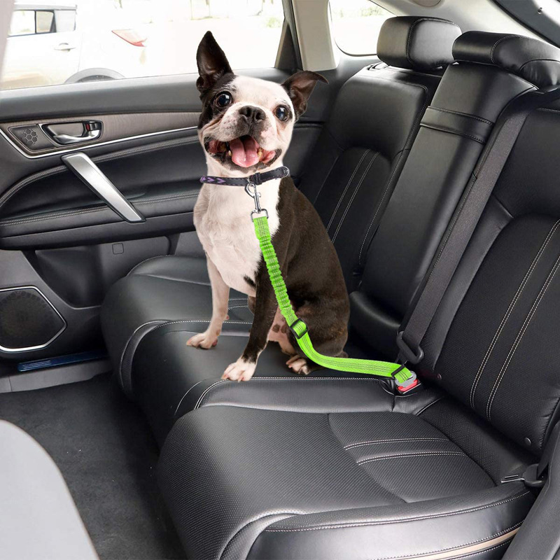 Title 9, Dog car seat belt and car towing rope. Keep you...