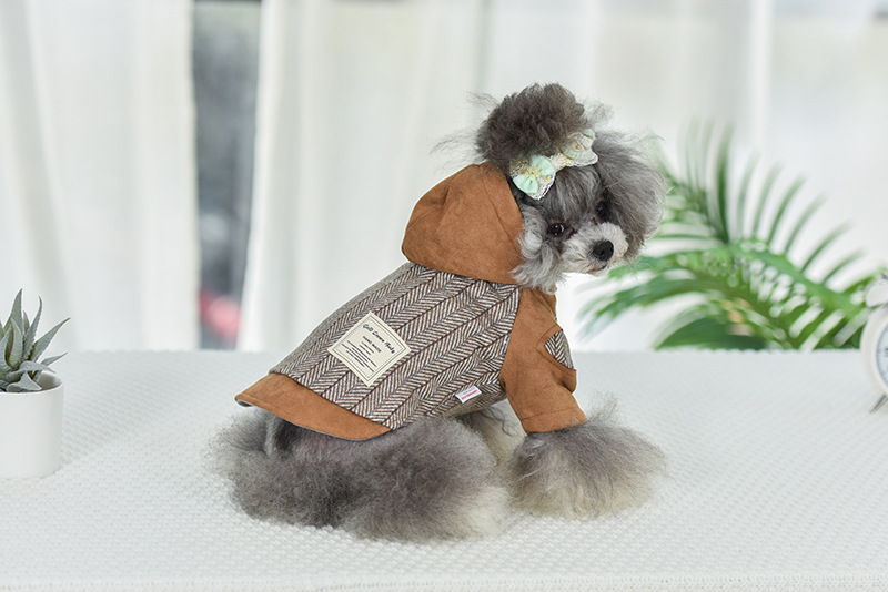 Title 2, Puppy kleding voor herfst en winter