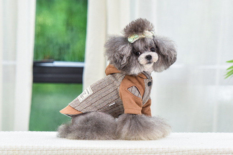 Title 3, Puppy kleding voor herfst en winter