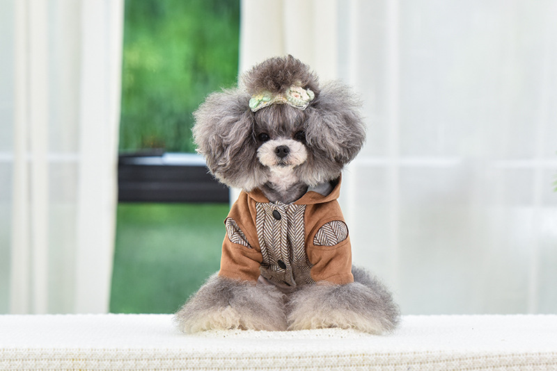 Title 4, Puppy kleding voor herfst en winter