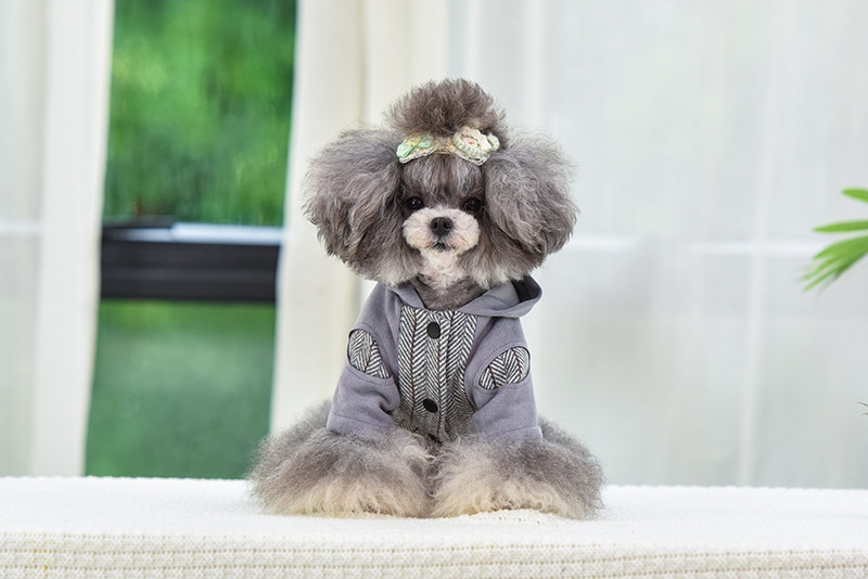 Title 7, Puppy kleding voor herfst en winter