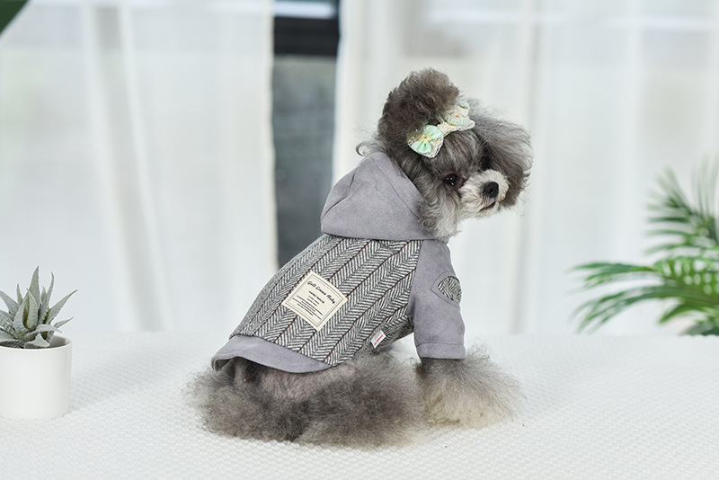 Title 8, Puppy kleding voor herfst en winter