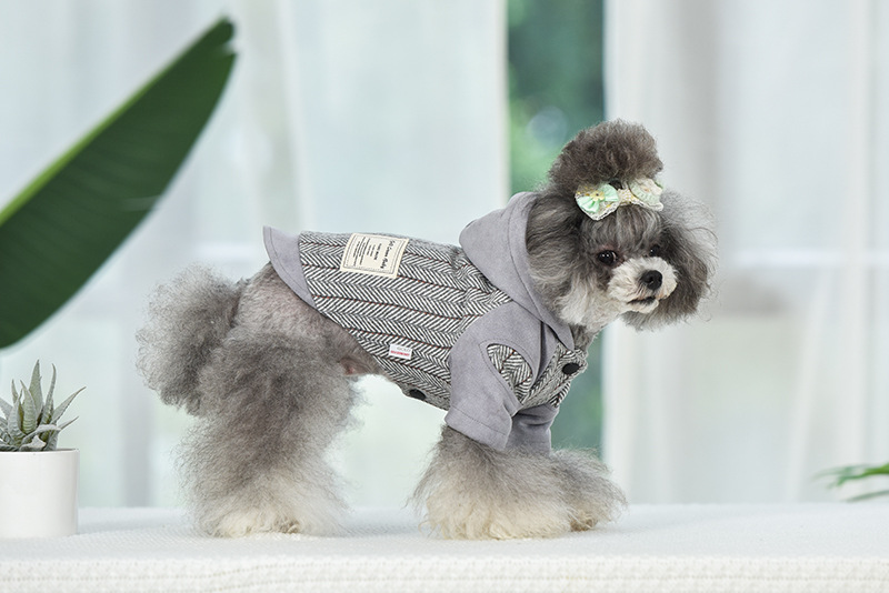 Title 9, Puppy kleding voor herfst en winter