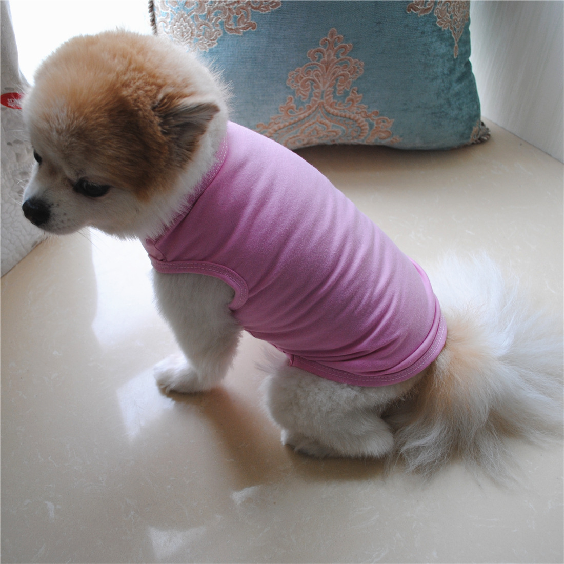 Title 10, Solid Color Dog Vest T Thin White Edition, offe...