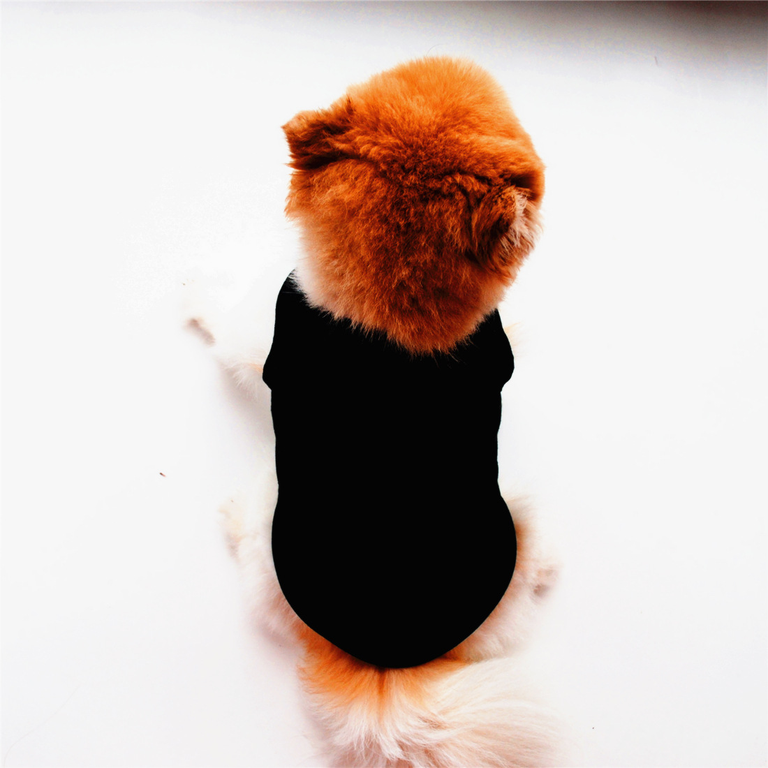 Title 15, Solid Color Dog Vest T Thin White Edition, offe...