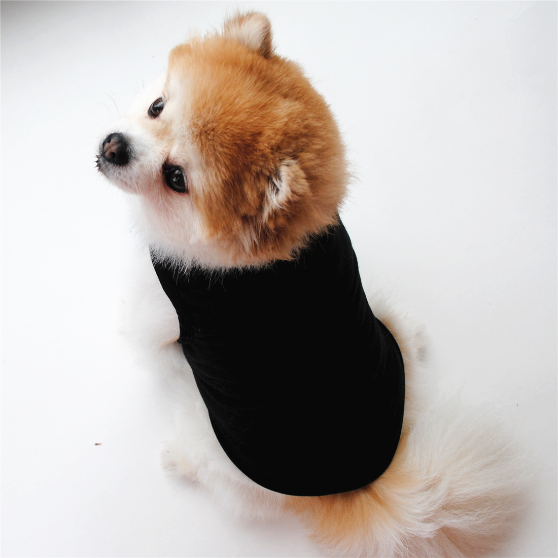 Title 16, Solid Color Dog Vest T Thin White Edition, offe...