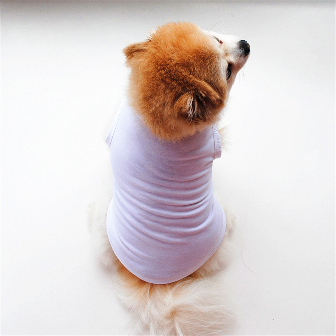 Title 18, Solid Color Dog Vest T Thin White Edition, offe...